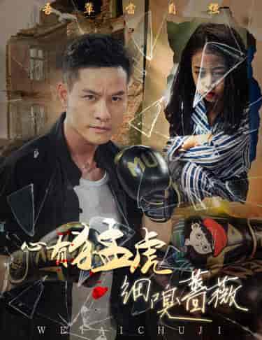 心有猛虎细嗅蔷薇（65集）-初遇资源网