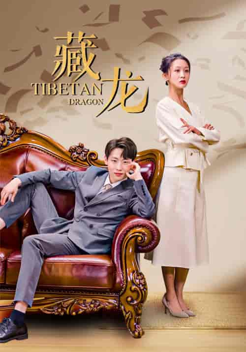 藏龙（93集）-初遇资源网