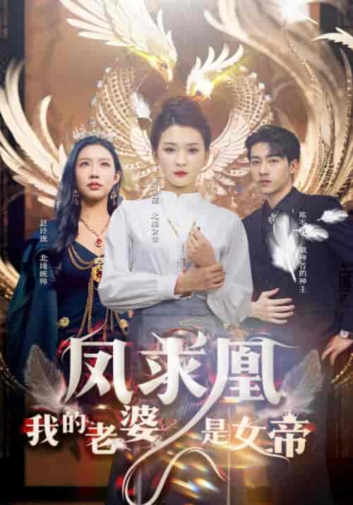 凤求凰我的老婆是女帝（97集）杨洁＆李可馨-初遇资源网