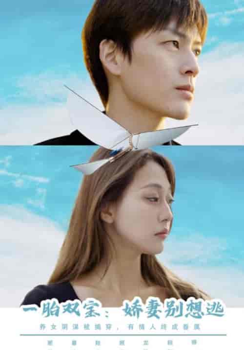 一胎双宝:娇妻别想逃(96集全)顾霆均&慕诗羽-初遇资源网