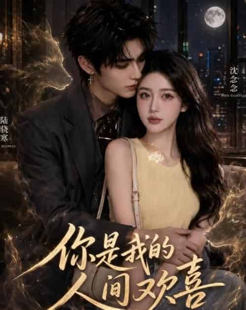 你是我的人间欢喜（56集全）AI - 夸克短剧