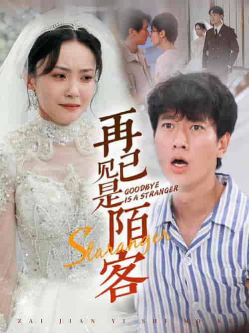 再见已是陌客＆归来的星光（55集全）张子安-初遇资源网