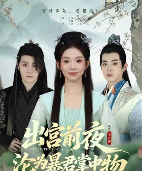 出宫前夜沦为暴君掌中物（57集全）李汐溦＆强宇-初遇资源网