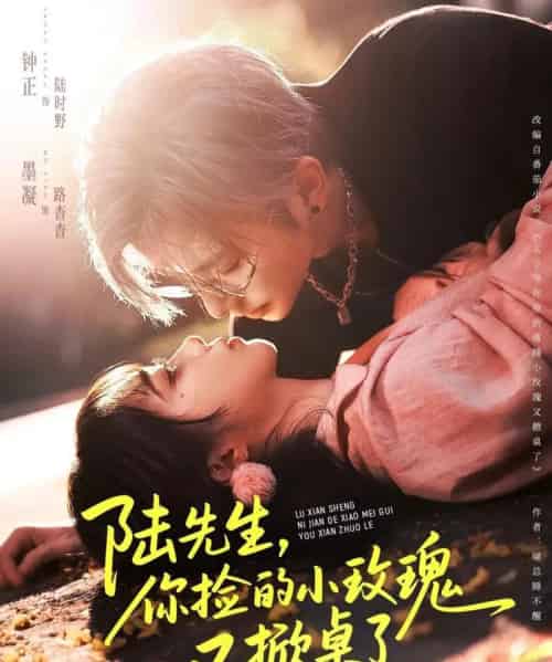 陆先生,你捡的小玫瑰又掀桌了(74集全)钟正&墨凝-初遇资源网