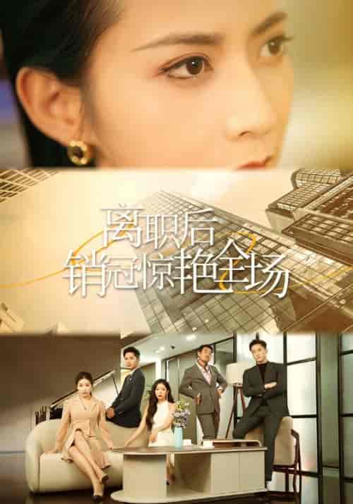 离职后销冠惊艳全场(30集全)沈听寒&季安安-初遇资源网