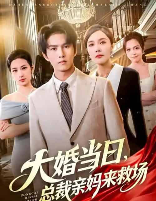 大婚当日，总裁亲妈来救场（81集全）梅瑞滢＆莫书铭＆李梦泽-初遇资源网