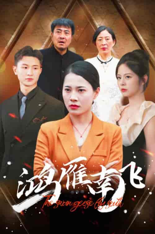 鸿雁南飞(64集)-初遇资源网