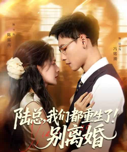 陆总，我们都重生了！别离婚（79集）冯铭潮＆陈露茜-初遇资源网