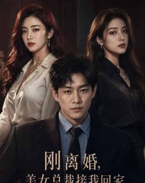 刚离婚,美女总裁接我回家(40集全)AI-初遇资源网