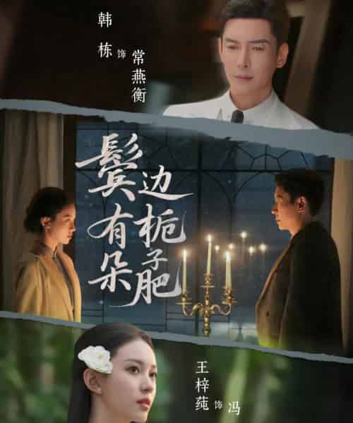 鬓边有朵栀子肥（72集全）韩栋＆王梓莼-初遇资源网