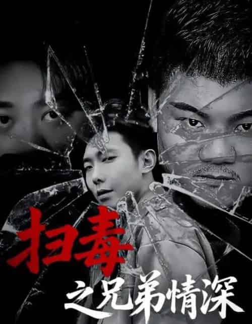 扫毒之兄弟情深（50集）-初遇资源网