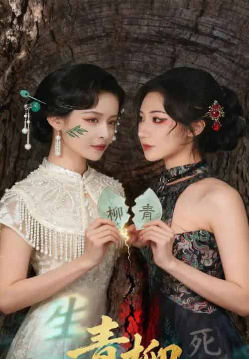 青柳（79集全）沈国洋＆王思瑾-初遇资源网