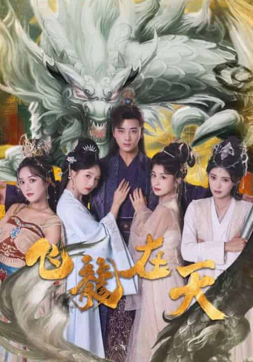 飞龙在天（133集全）李龙鳞＆苏凤翎-初遇资源网