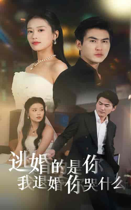 逃婚的是你我退婚你哭什么（71集全）-初遇资源网