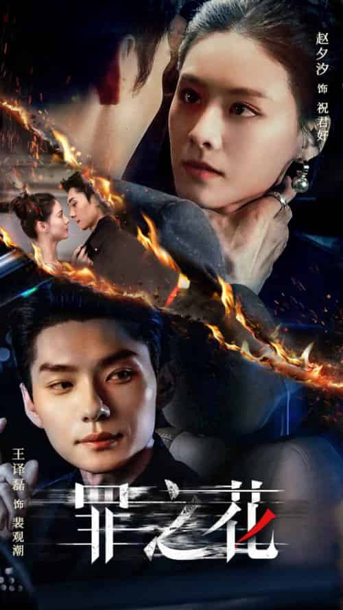 罪之花（56集全）王译磊＆赵夕汐-初遇资源网