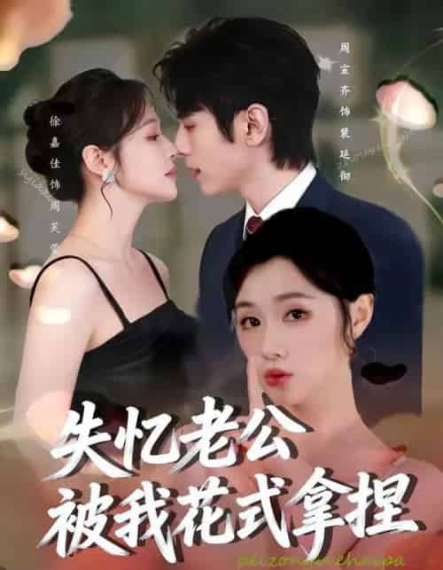 失忆老公被我花式拿捏（86集全）周宣齐＆徐嘉佳-初遇资源网