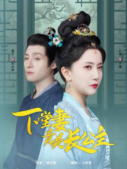 下堂妻竟是长公主(74集全)赵亦坤&李斓-初遇资源网