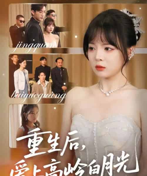 重生后爱上高岭白月光（67集）冠霖＆唐七七-初遇资源网