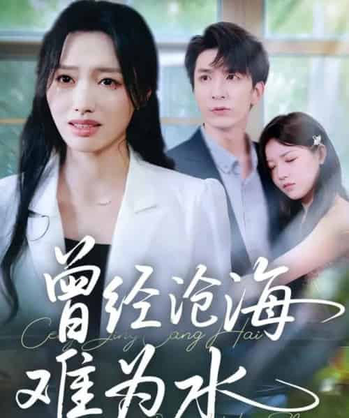 曾经沧海难为水（60集全）韩旭＆王梦佳-初遇资源网