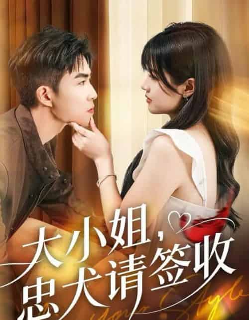 大小姐,忠犬请签收(61集全)曹千祎&关丁弋-初遇资源网