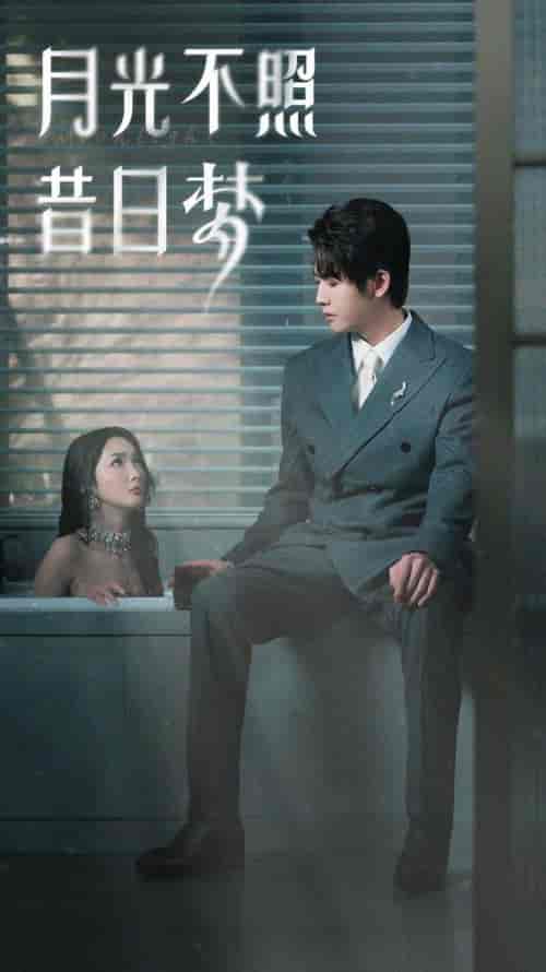月光不照昔日梦(79集)-初遇资源网
