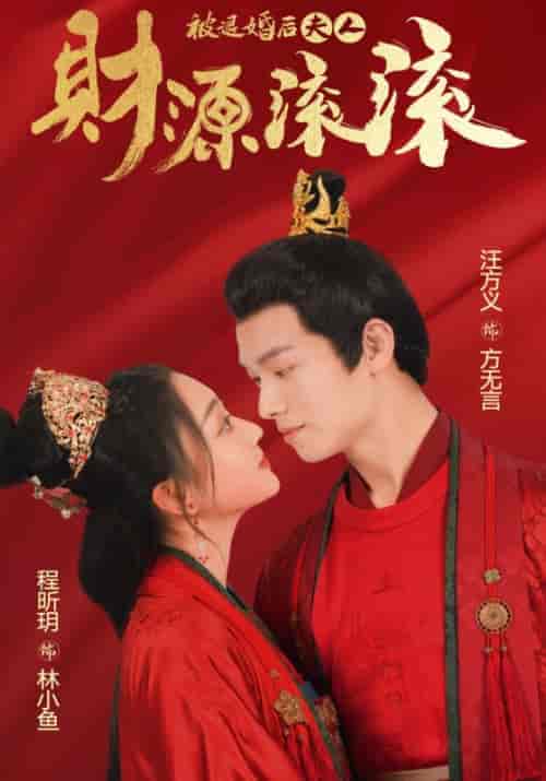 被退婚后夫人财源滚滚(82集)穿越剧-初遇资源网