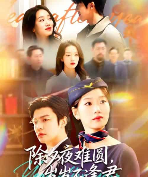 除夕夜难圆,岁岁不逢君(79集全)麦童&李星霖-初遇资源网