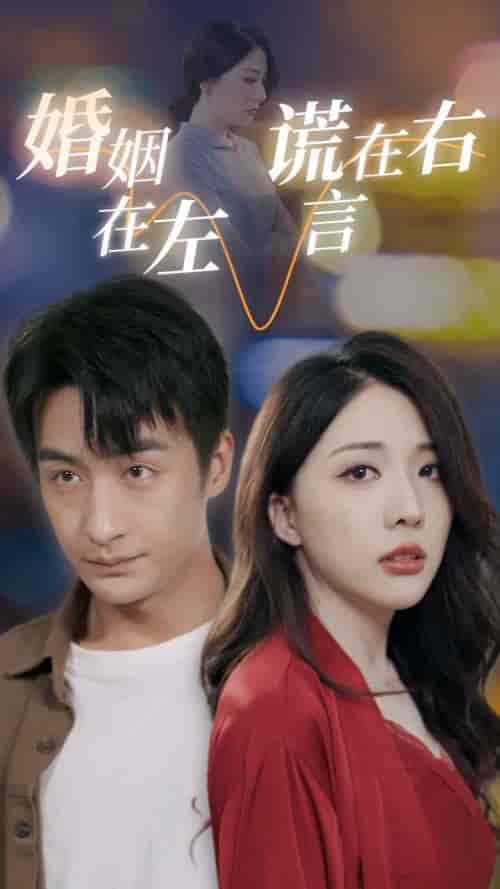 婚姻在左谎言在右（79集）-初遇资源网
