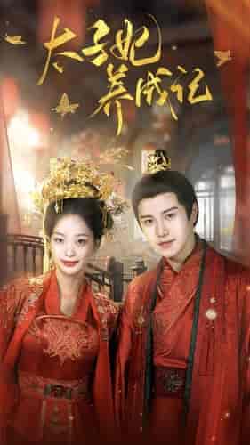 太子妃养成记(97集)-初遇资源网