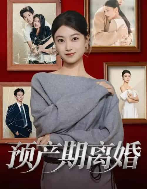 预产期离婚（72集全）陈奕汐＆项泰诚-初遇资源网