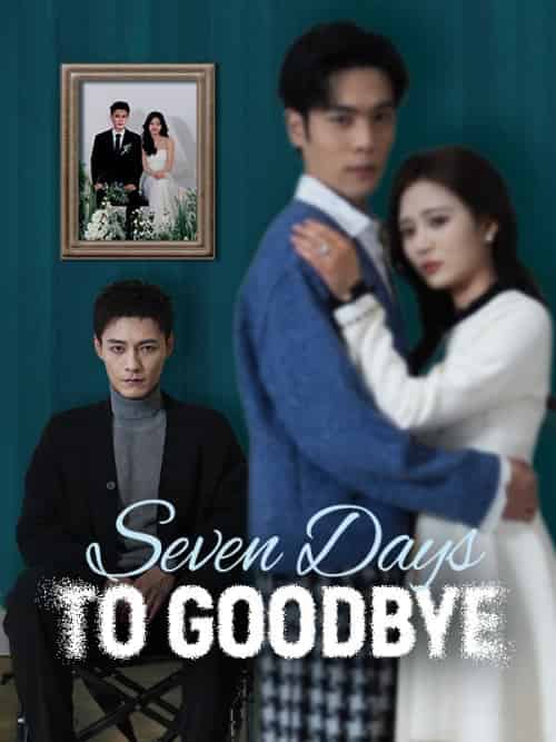 Seven Days to Goodbye（45集全）Jake＆Grant＆＆Rena＆Jonas-初遇资源网