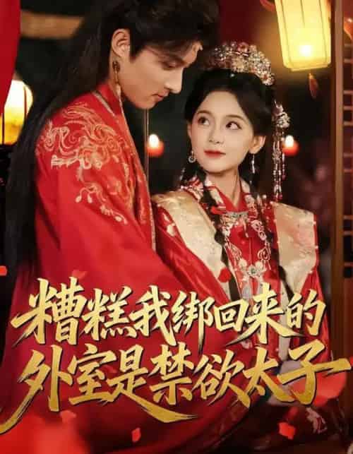 糟糕我绑回来的外室是禁欲太子(90集全)邱嘉棋&薛景元-初遇资源网