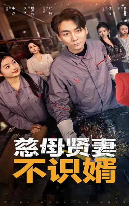 慈母贤妻不识婿（45集全）-初遇资源网