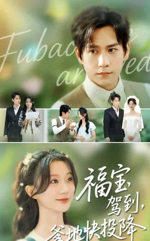 福宝驾到，爹地快投降（100集全）张添景＆蒲雨童-初遇资源网