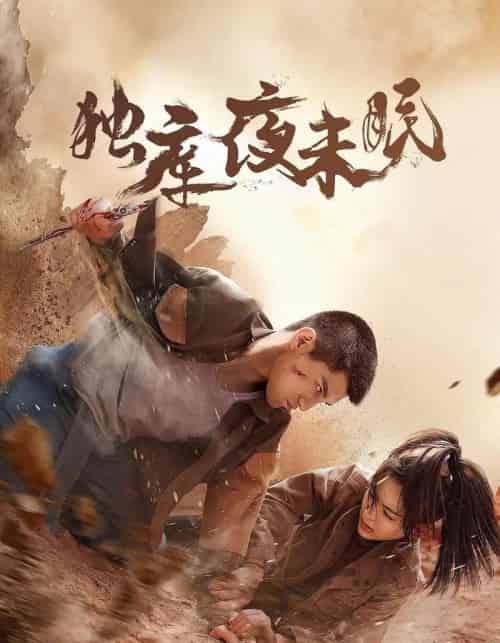 独库夜未眠（20集全）-初遇资源网