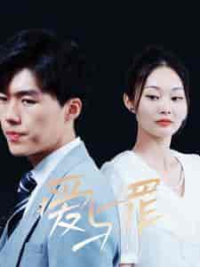 爱与罪(63集全)-初遇资源网