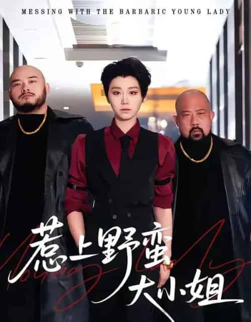 惹上野蛮大小姐（100集全）林千仟＆沈柏岩-初遇资源网