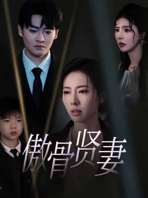 傲骨贤妻（52集全）-初遇资源网