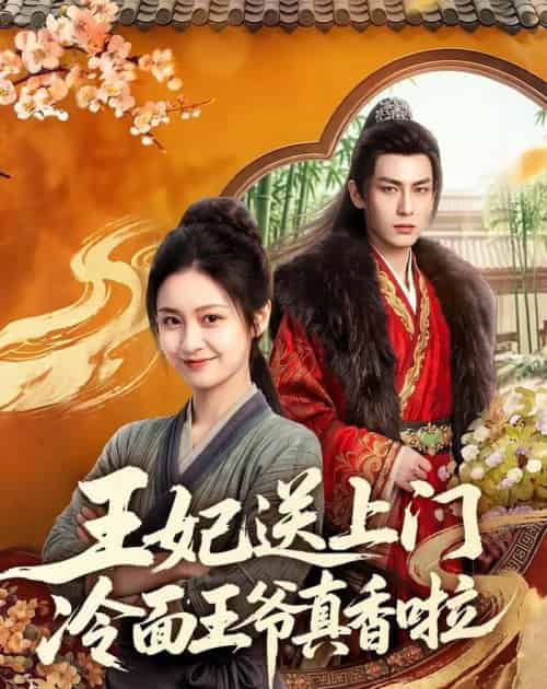 王妃送上门冷面王爷真香啦 王妃送上门冷面王爷真香啦