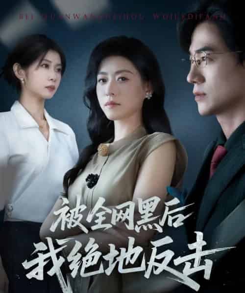 被全网黑后我绝地反击（62集全）孙茂峰＆诸玲颖-初遇资源网