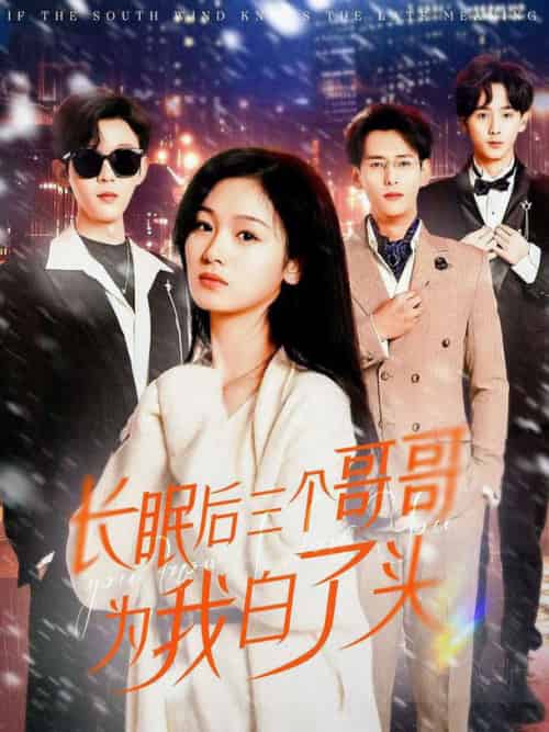 长眠后三个哥哥为我白了头（33集全）田苗苗-初遇资源网