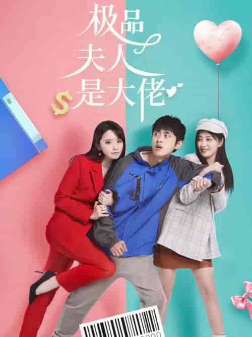 极品夫人是大佬(50集)-初遇资源网