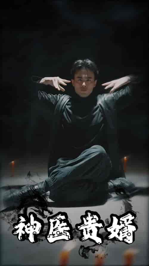 神医贵婿（63集）-初遇资源网