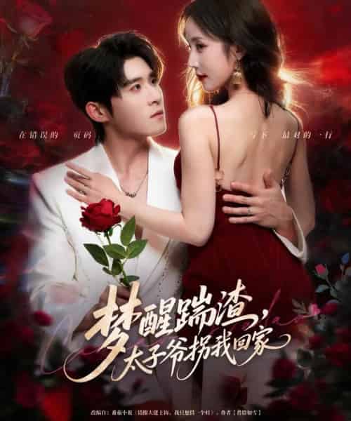 梦醒踹渣,太子爷拐我回家(80集全)黄云云&杨宇斌-初遇资源网