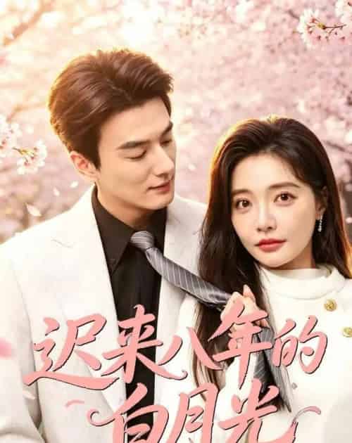 迟来八年的白月光（60集全）张策＆李欣怡-初遇资源网