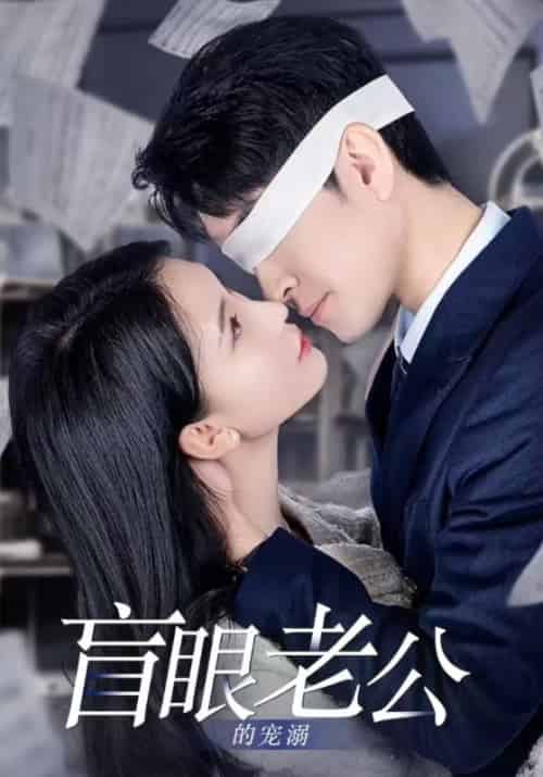 盲眼老公的宠溺(87集全)顾成钰&蓝雪-初遇资源网