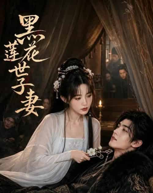 黑莲花世子妻 黑莲花世子妻