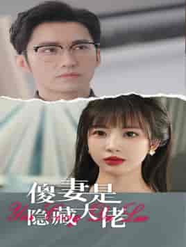 傻妻是隐藏大佬（63集）王道铁彭呆呆-初遇资源网