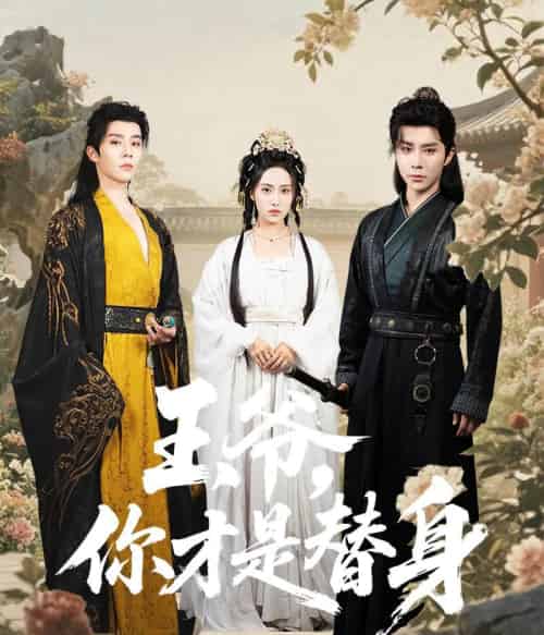 王爷你才是替身（60集）权裴伦＆刘昱辰-初遇资源网