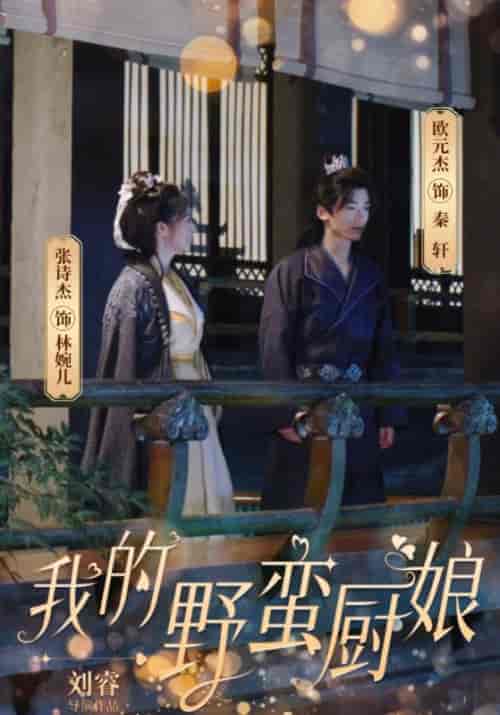 我的野蛮厨娘(64集全)-初遇资源网